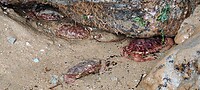 IMG_20220517_095149