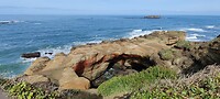 IMG_20220517_100308