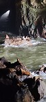 IMG_20220517_135731