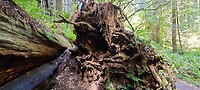 IMG_20220519_144124