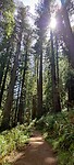 IMG_20220519_144708