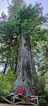 IMG_20220519_151057