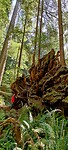 IMG_20220519_154316