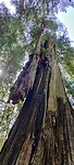 IMG_20220519_154745
