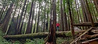 IMG_20220518_185720
