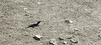 IMG_20220520_164817