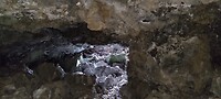 IMG_20220522_134323