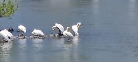 IMG_20220523_130726