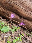 IMG_20220524_165947