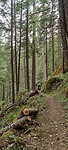 IMG_20220524_164720
