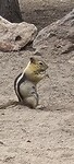 IMG_20220526_132009