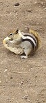 IMG_20220527_085336
