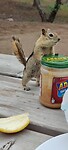 IMG_20220527_090027