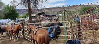 IMG_20220528_142517