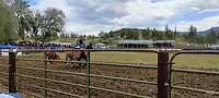IMG_20220528_140202