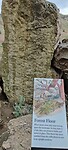 IMG_20220529_102209
