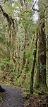 IMG_20220605_191355