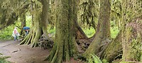 IMG_20220605_150659