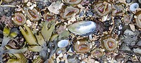 IMG_20220606_172221