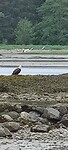 IMG_20220606_102831