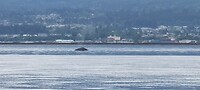 IMG_20220607_150825