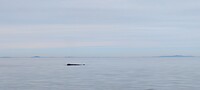 IMG_20220607_145009