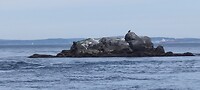 IMG_20220607_131251