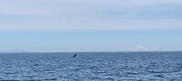 IMG_20220607_124432__01