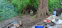 IMG_20220608_203911