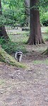 IMG_20220608_203501