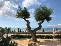 Playa de Palma