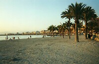 El Arenal