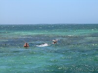 Isla de Coche