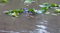 Everglades National Park