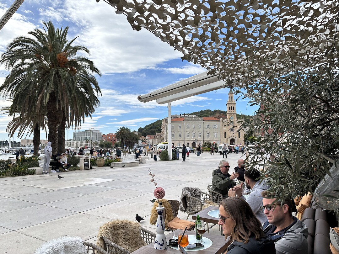 Olive Tree | Split