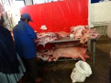 varkens worden hier gewoon per stuk verkocht