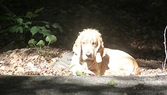 Joep geniet van de zon