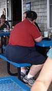 Veel voorkomend beeld stiekem op de foto gezet