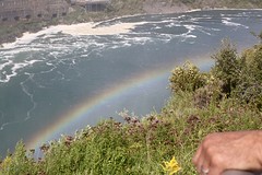 Regenboog