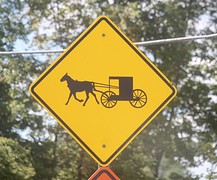 Waarschuwing voor trage paardenkoetsen