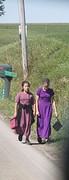 Amish