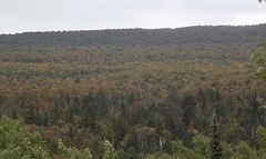 Herfstkleuren
