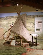 Tipi