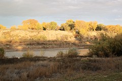 Herfstkleuren