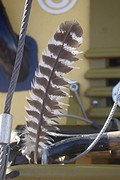 Voor Hetty: de veer van de uil