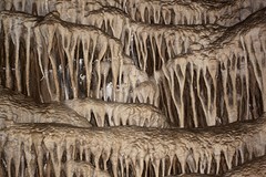 Lehman cave