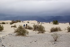 Zandduinen met onheilspellende lucht