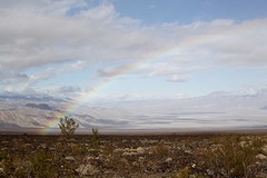 Regenboog
