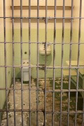 De meest voorkomende cel op Alcatraz