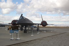 Blackbird